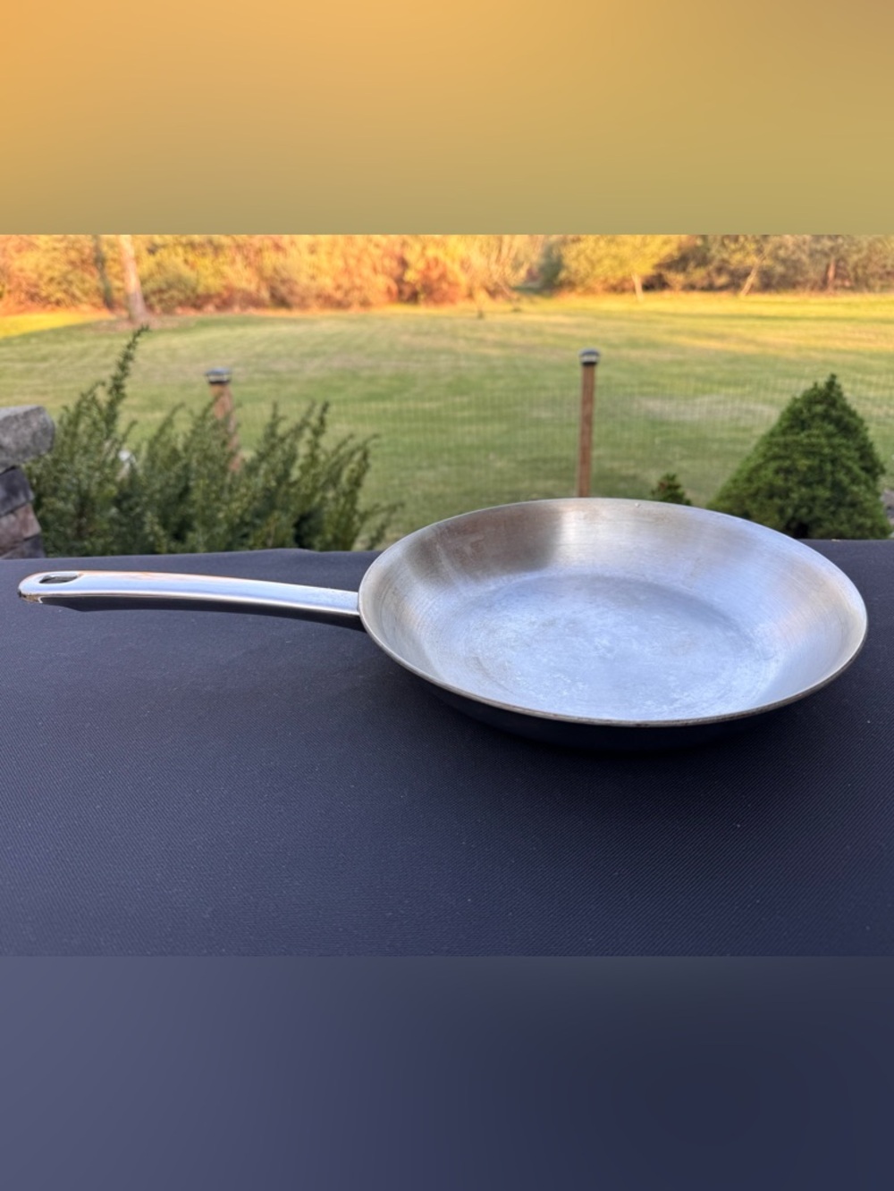 Pro-Health Ultra Magnetic Induction Core 10.5” Stainless Sauté Pan